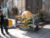 rosheim-citrouille-abribus-19
