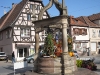 rosheim-citrouille-abribus-22